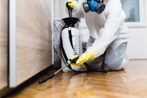 Best Affordable Pest Control Services  in Pemberwick, CT