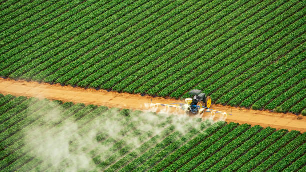 Pest Control Cost in Pemberwick, CT